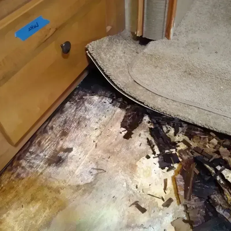 Wood Floor Water Damage in Odessa, TX